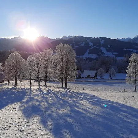 Goglhof Apartment Ramsau am Dachstein
