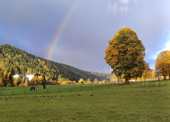 Goglhof * Ramsau am Dachstein
